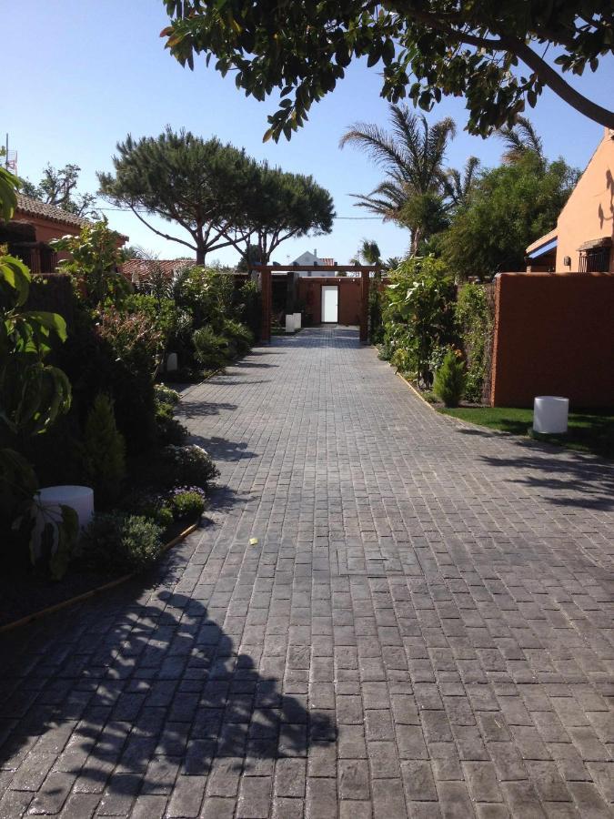 Casa Bungalows Con Jardin Privado Y Piscina Compa Cádiz Eksteriør billede